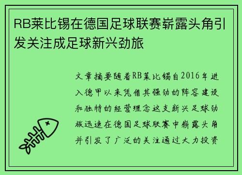 RB莱比锡在德国足球联赛崭露头角引发关注成足球新兴劲旅